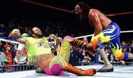 Jake Roberts attacks Macho Man with a cobra in a controversial stunt.